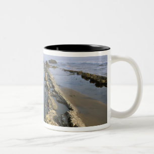 USA, Kalifornien, Santa Barbara, Henrys strand. Två-Tonad Mugg
