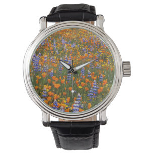 USA, Kalifornien, Santa Margarita, Avenales Armbandsur