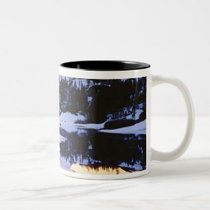 USA, Kalifornien, Sierra Nevada-bergen. Den Två-Tonad Mugg