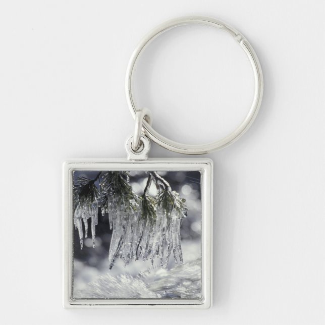 USA, Kalifornien, Sjö Tahoe. Kretsar över Fyrkantig Silverfärgad Nyckelring (Framsidan)