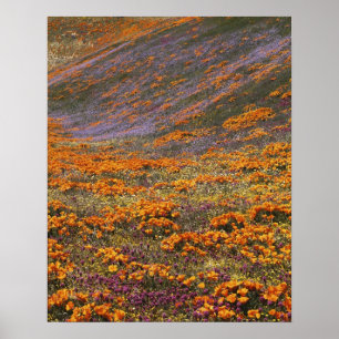 USA, Kalifornien, Tehachapi-bergen, 2 Poster