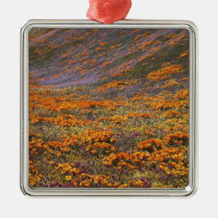 USA, Kalifornien, Tehachapi Mountains, 2 Julgransprydnad Metall