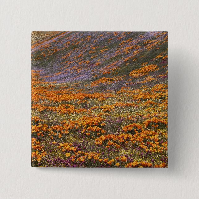 USA, Kalifornien, Tehachapi Mountains, 2 Knapp (Framsida)