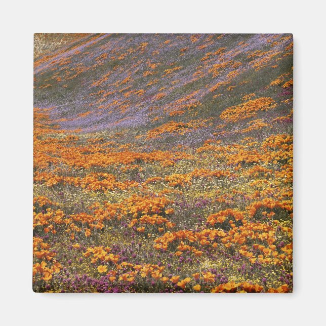 USA, Kalifornien, Tehachapi Mountains, 2 Magnet (Framsidan)