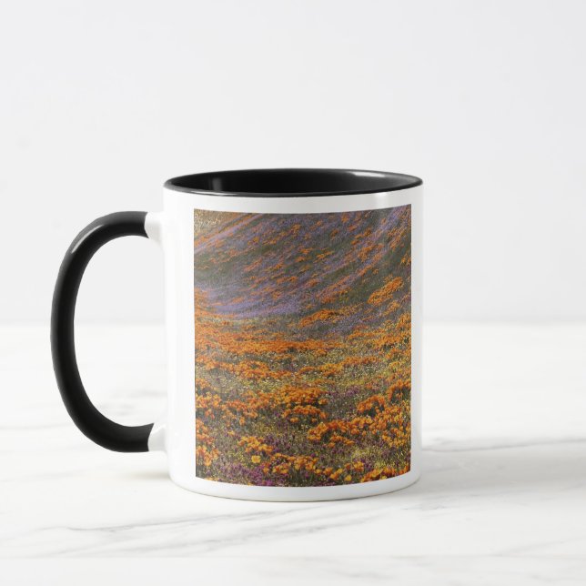 USA, Kalifornien, Tehachapi Mountains, 2 Mugg (Vänster)
