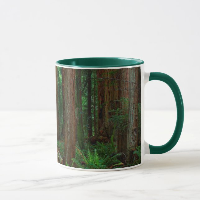 USA, Kalifornien. Väg bland Redwood i Muir Mugg (Höger)