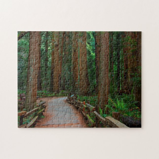 USA, Kalifornien. Väg bland Redwood i Muir Pussel (Horisontell)