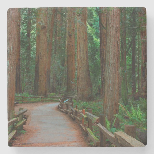 USA, Kalifornien. Väg bland Redwood i Muir Underlägg Sten (Framsidan)
