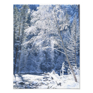 USA, Kalifornien, Yosemite National Park, 2 Fototryck