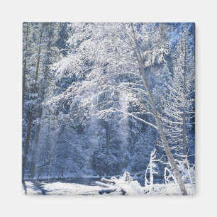 USA, Kalifornien, Yosemite National Park, 2 Magnet
