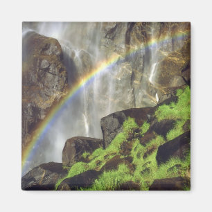 USA, Kalifornien, Yosemite National Park. A Magnet