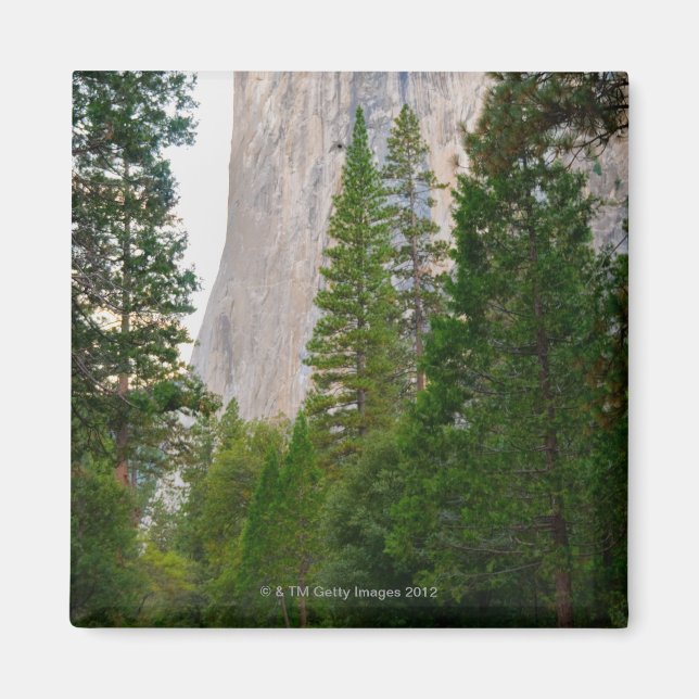 USA, Kalifornien, Yosemite National Park, El 4 Magnet (Framsidan)