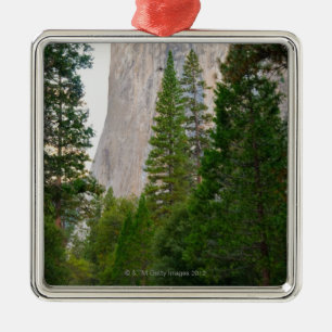 USA Kalifornien, Yosemite nationalpark, El 4 Julgransprydnad Metall