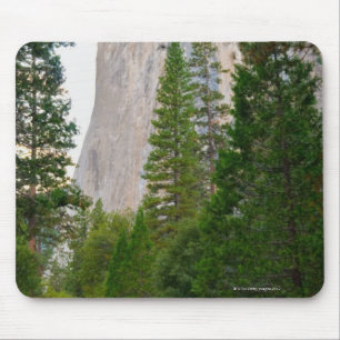 USA Kalifornien, Yosemite nationalpark, El 4 Musmatta