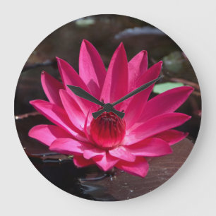 USA, Kansas, Bright Red Vatten Lilly Stor Klocka