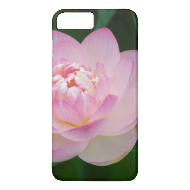USA, Kansas, Rosa Vatten Lilly Case-Mate iPhone Skal (Baksida)