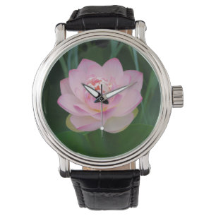 USA, Kansas, Rosa vattenlilja Armbandsur