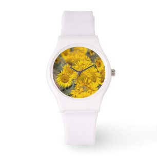 USA, Kansas. Solros (Helianthus Annuus) Armbandsur