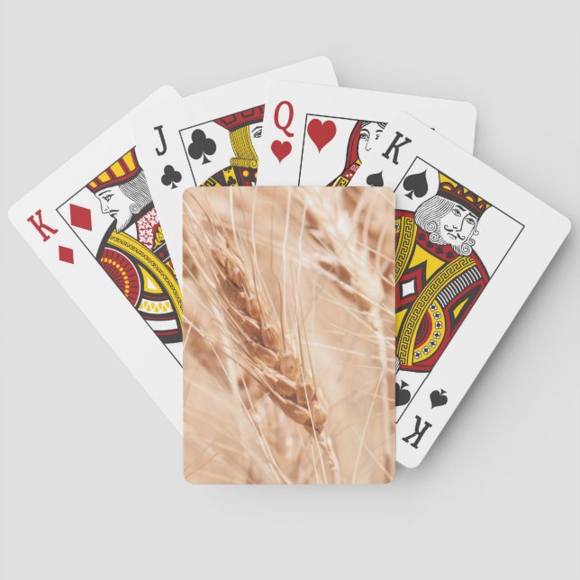 USA Kansas, vete på skörden Time Casinokort (Baksidan)