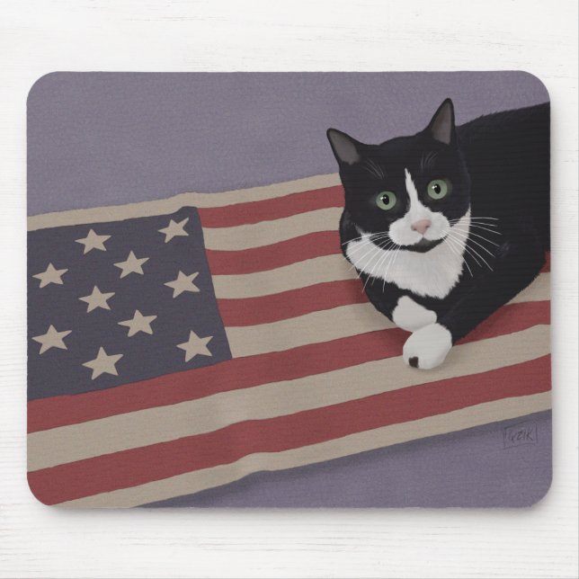 USA Katt  Musmatta (Framsidan)