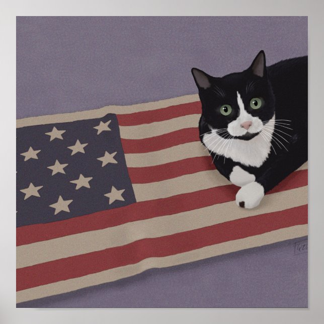 USA Katt  Poster (Framsidan)