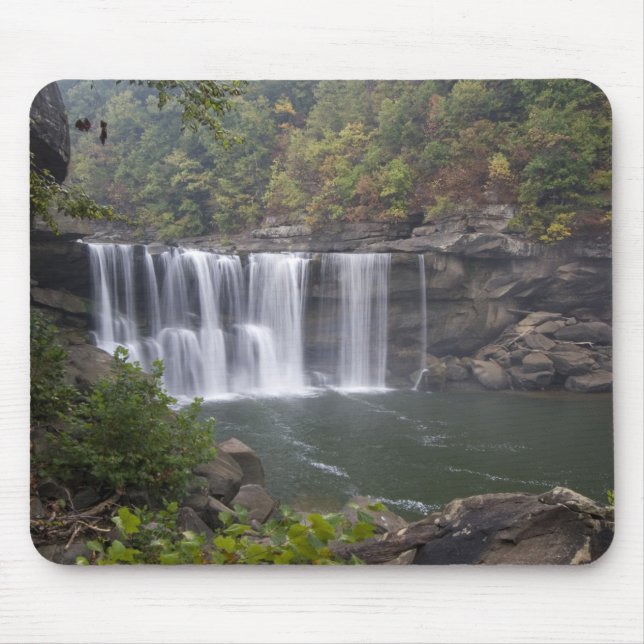USA - Kentucky. Cumberland Falls på Musmatta (Framsidan)