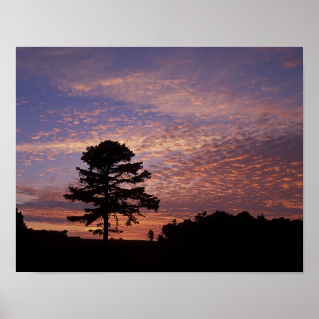 USA, Kentucky, Cumberland Gap National Poster (Framsidan)