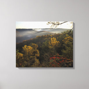 USA, Kentucky. Daniel Boone National Forest. Canvastryck