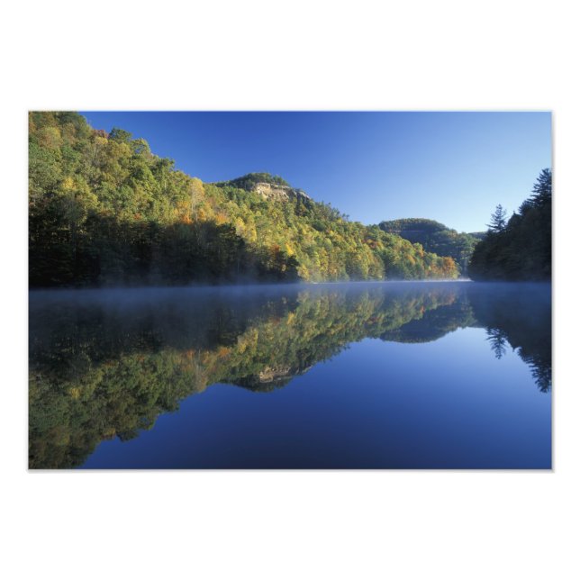 USA, Kentucky. Daniel Boone National Forest, Fototryck (Framsidan)