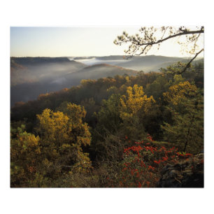 USA, Kentucky. Daniel Boone National Forest. Fototryck