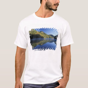 USA, Kentucky. Daniel Boone National Forest, Tee