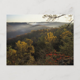 USA, Kentucky. Daniel Boone National Forest. Vykort