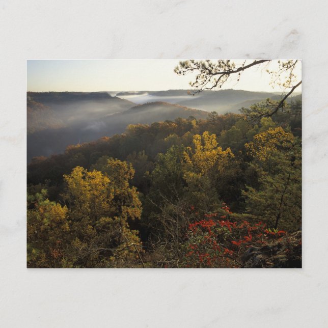 USA, Kentucky. Daniel Boone National Forest. Vykort (Framsida)