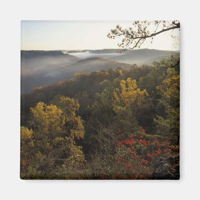 USA, Kentucky. Daniel Boone nationalskog. Magnet (Framsidan)