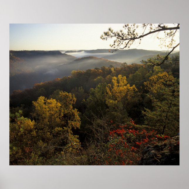 USA, Kentucky. Daniel Boone nationalskog. Poster (Framsidan)