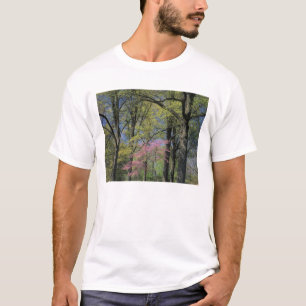 USA, Kentucky, Louisville. Östlig Cercis T-shirt