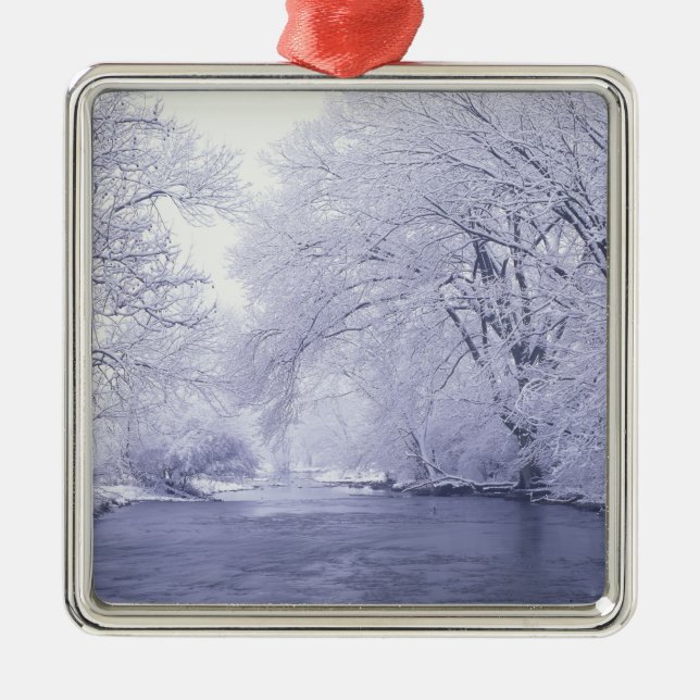 USA, Kentucky, Louisville. Snö täckt Julgransprydnad Metall (Framsidan)