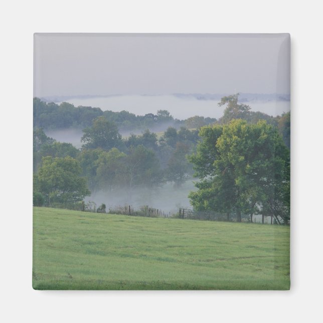 USA, Kentucky. Rullande backe av bläckgräs Magnet (Framsidan)