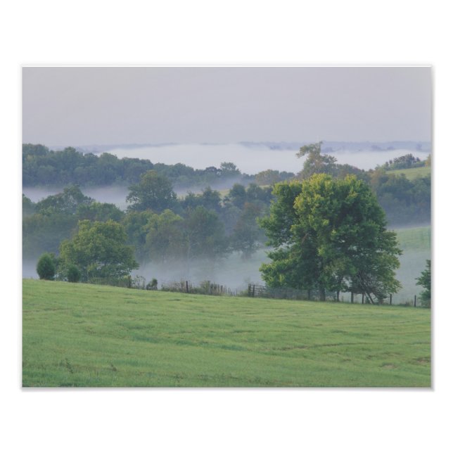USA, Kentucky. Rullande kullar i Bluegrass Fototryck (Framsidan)