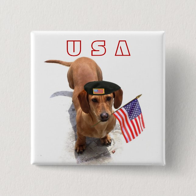 USA knäppas den patriotiska taxen Knapp (Framsida)