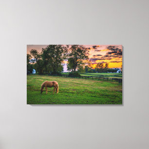 USA, Lexington, Kentucky. Ensam häst vid solnedgån Canvastryck