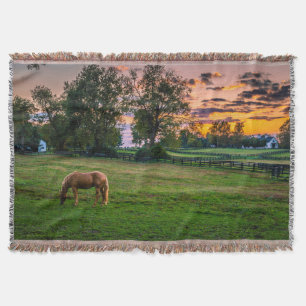 USA, Lexington, Kentucky. Ensam häst vid solnedgån Mysfilt