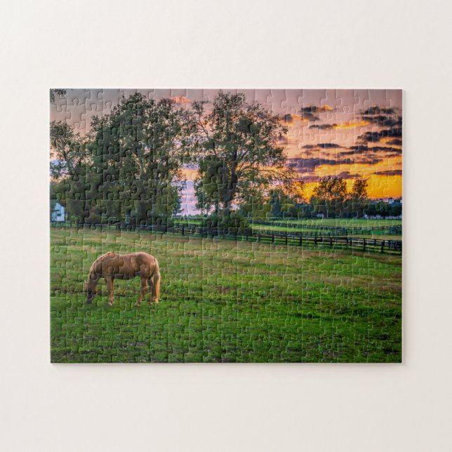 USA, Lexington, Kentucky. Ensam häst vid solnedgån Pussel (Horisontell)