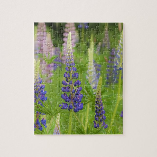 USA, Maine, Acadia National Park. Fält av Pussel (Vertikal)