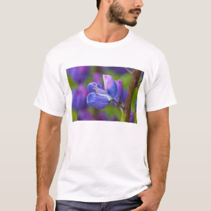 USA, Maine, Acadia National Park. Närbild av T-shirt