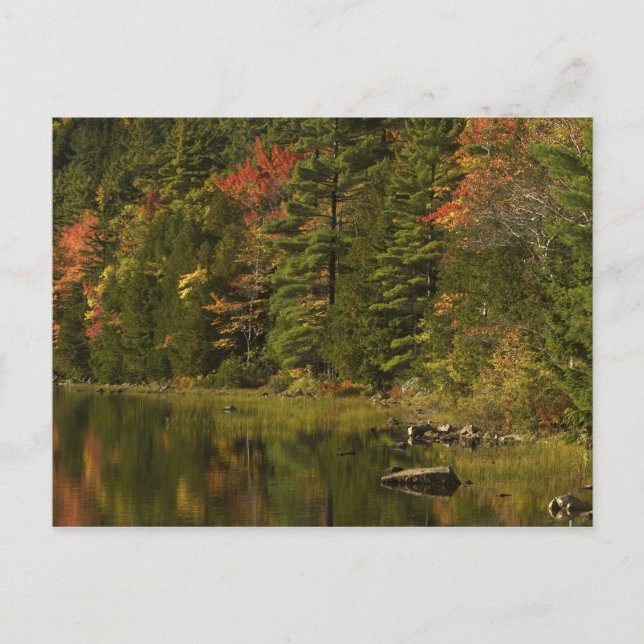 USA; Maine; Acadia NP. Fallreflektioner vid 2 Vykort (Framsida)