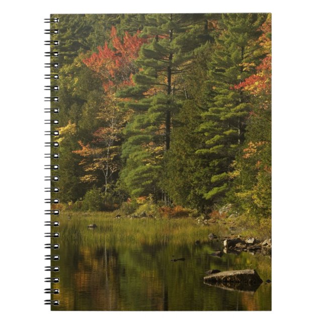 USA; Maine; Acadia NP. Höstreflektioner vid 2 Anteckningsbok (Framsidan)