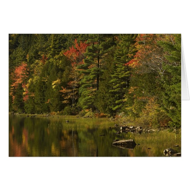 USA; Maine; Acadia NP. Höstreflektioner vid 2 Hälsningskort (Framsidan Horizontal)