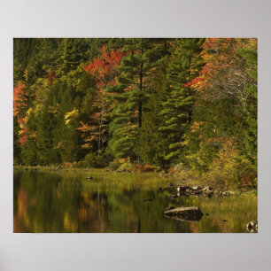 USA; Maine; Acadia NP. Höstreflektioner vid 2 Poster