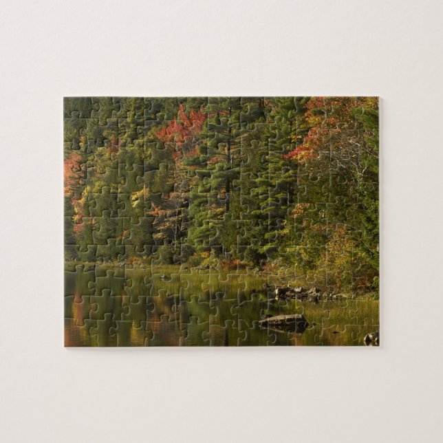 USA; Maine; Acadia NP. Höstreflektioner vid 2 Pussel (Horisontell)
